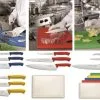 Set HACCP Cucina: 12 Coltelli E 5 Taglieri Colorati Normativa HACCP