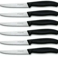 Set 6 Coltelli Bistecca Victorinox Serie Classic