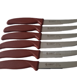 Set 6 Coltelli Bistecca BBQ Di Ambrogio Sanelli