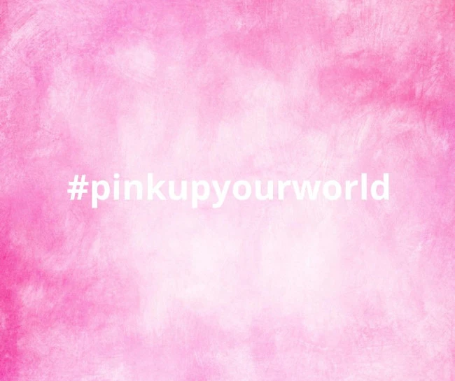 Santoku Con Lama Alveolata Pink Spirit Di Friedr. Dick #pinkupyourworld - immagine 2